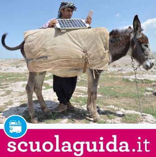 I pastori turchi viaggiano con pannelli solari sui muli per ricaricare i cellulari!